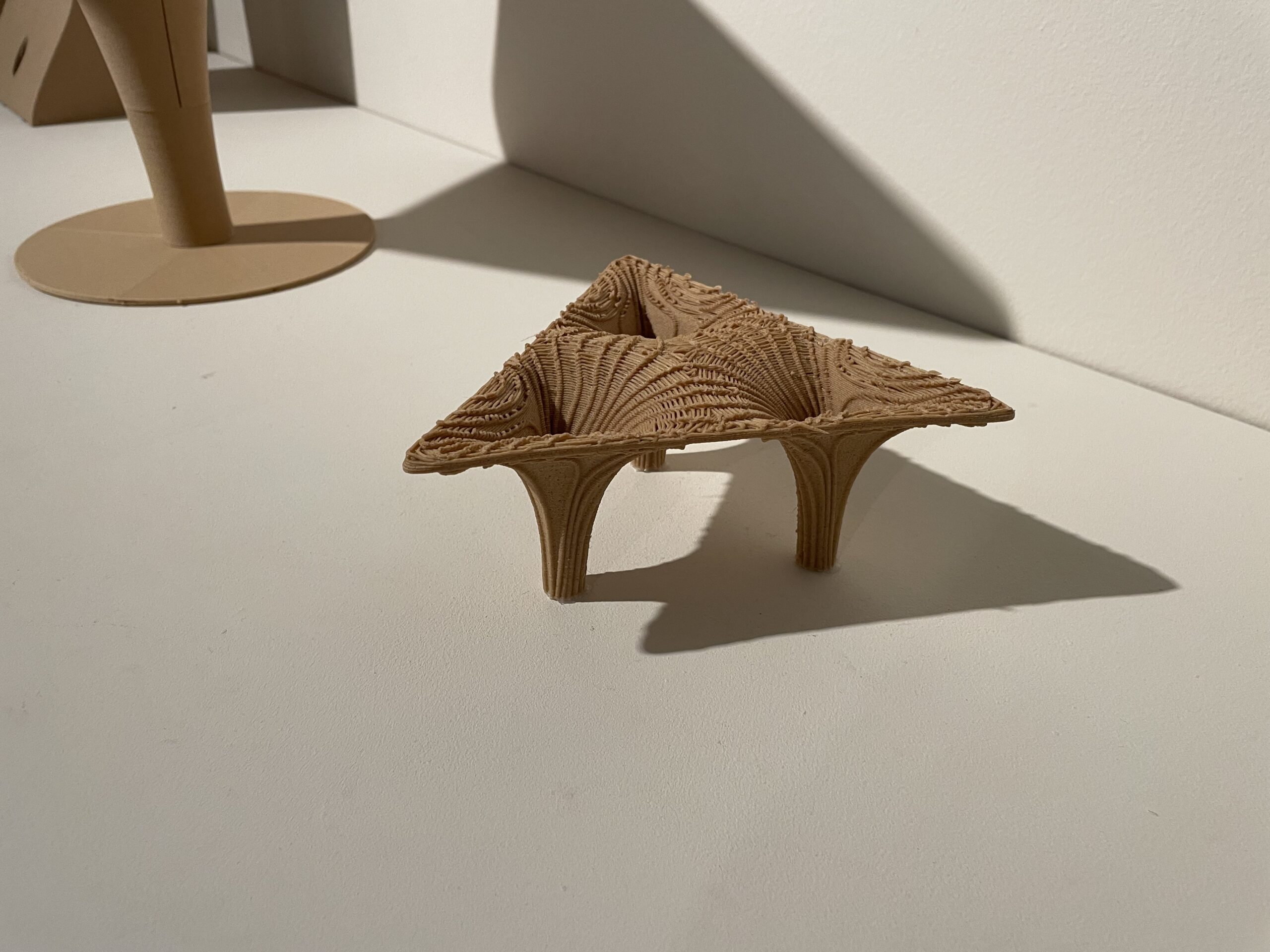 16.1_3DNatur_Figure-18-scaled