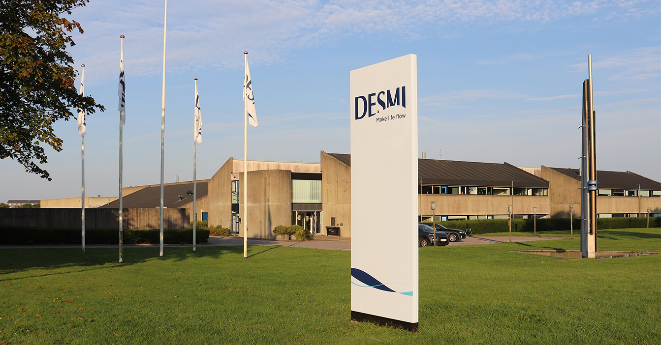 Desmi-bygning